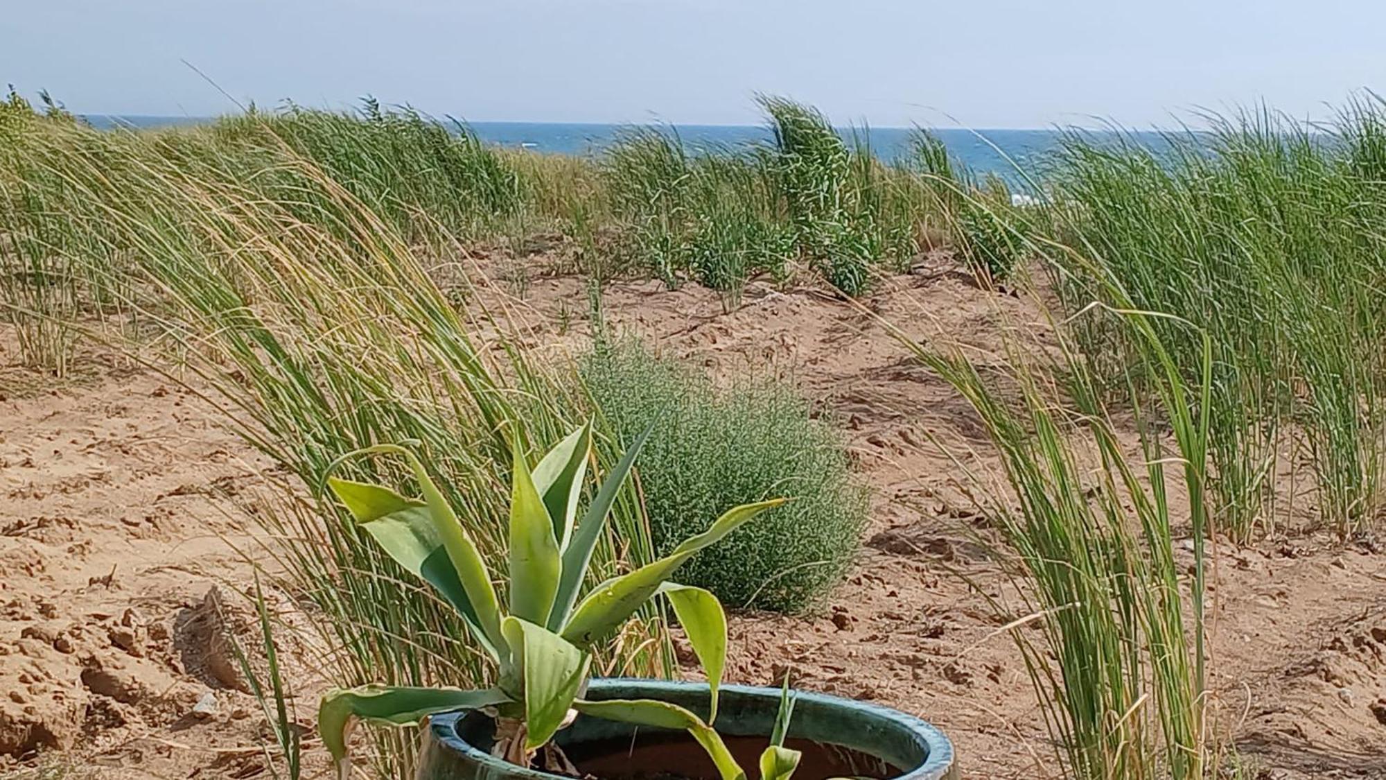 Fin Fiori Villa Menfi Eksteriør bilde