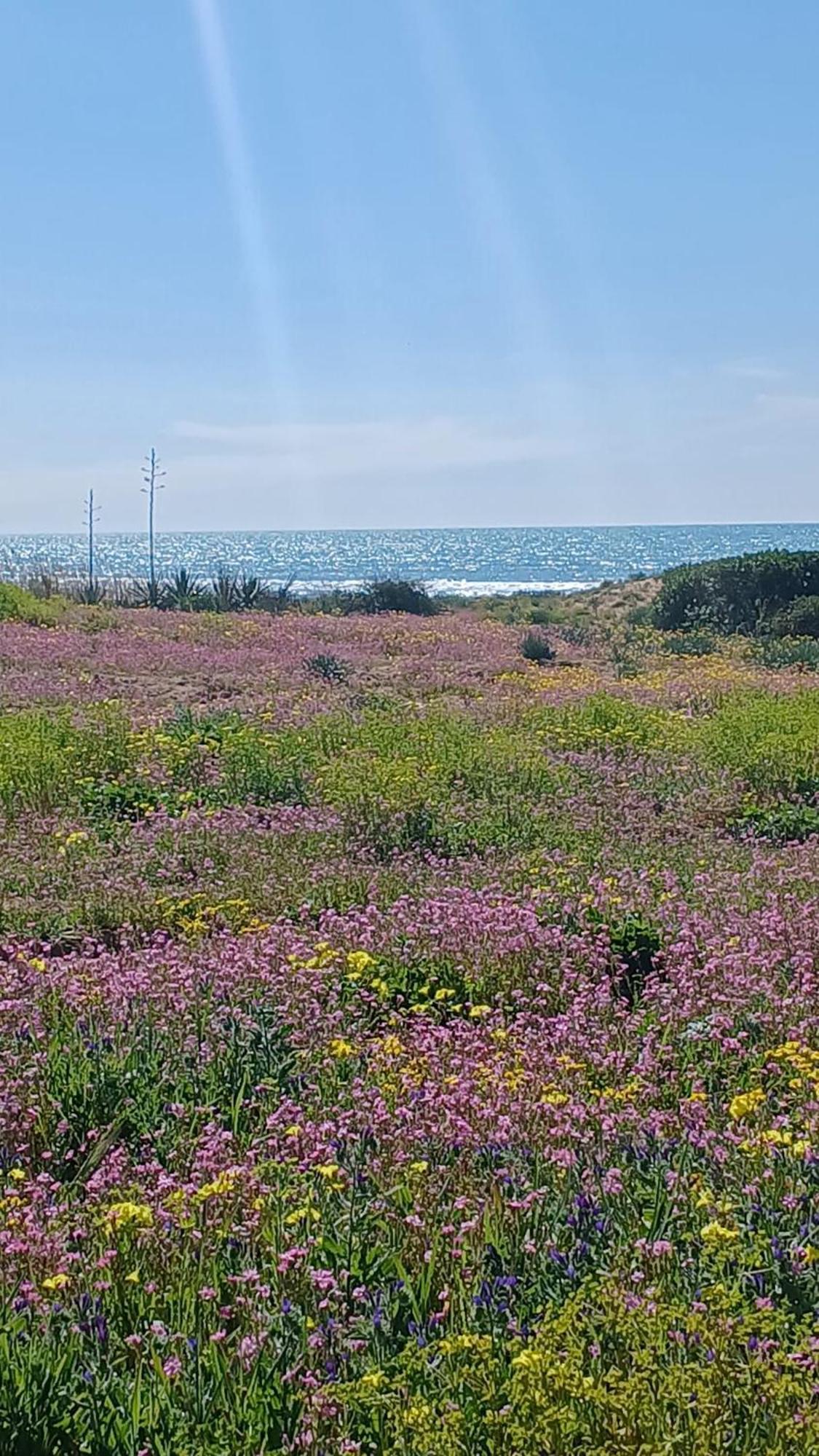 Fin Fiori Villa Menfi Eksteriør bilde